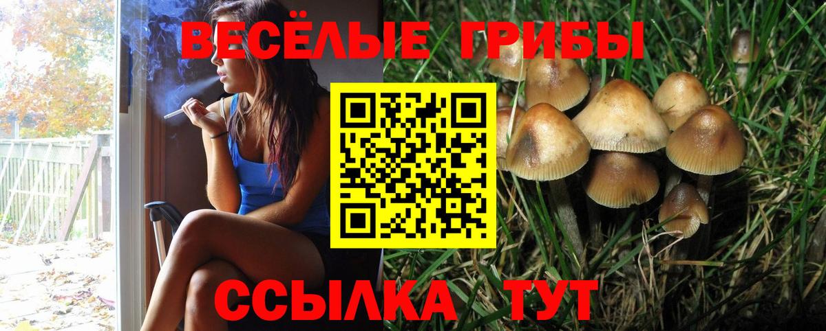 Псилоцибиновые грибы ЛСД  Псилоцибиновые грибы Magic Shrooms  Иваново  Вход с VPN 